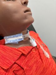 PHSU154 - Trach Tube Essentials for RT (Online)